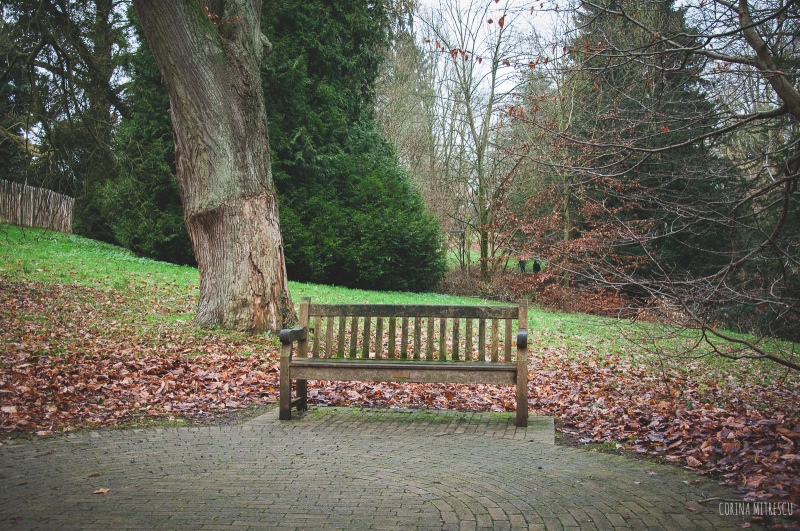 bench in park brussels tournay solvay