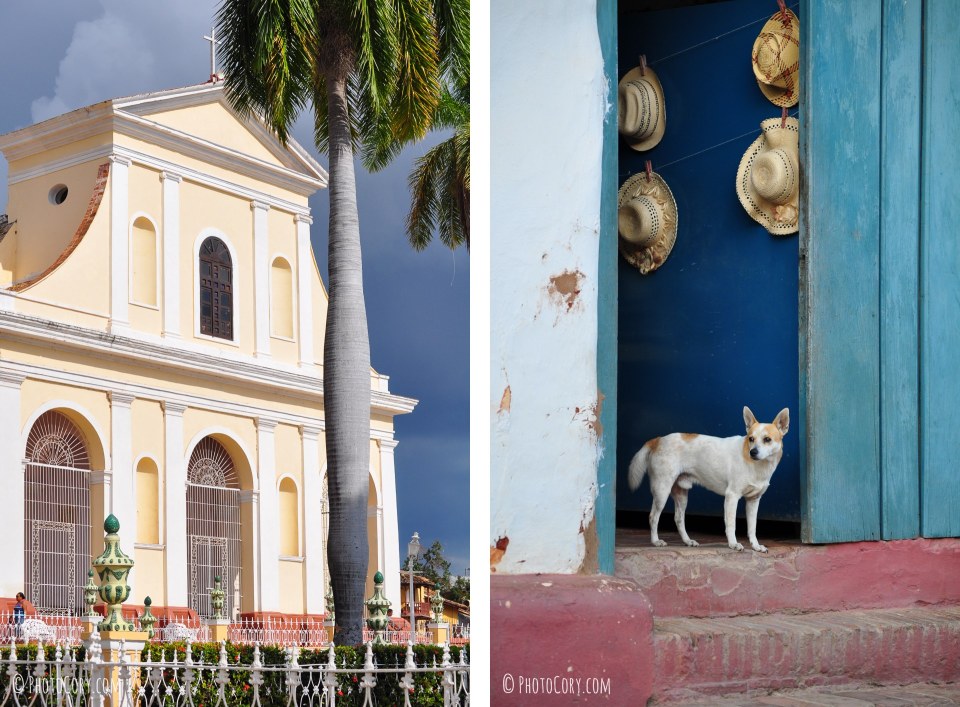 cuba trinidad cathedral dog