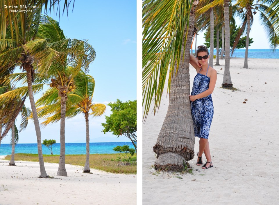 photo with palmtrees carribean island